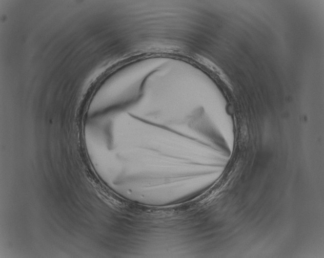 X0000073421027200608251545