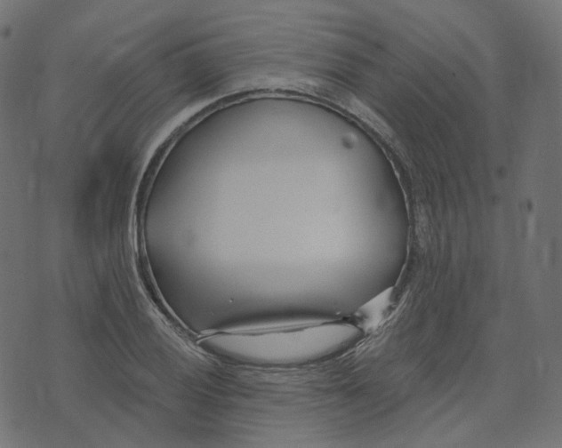 X0000073421028200608251545