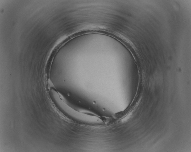 X0000073421029200608251545