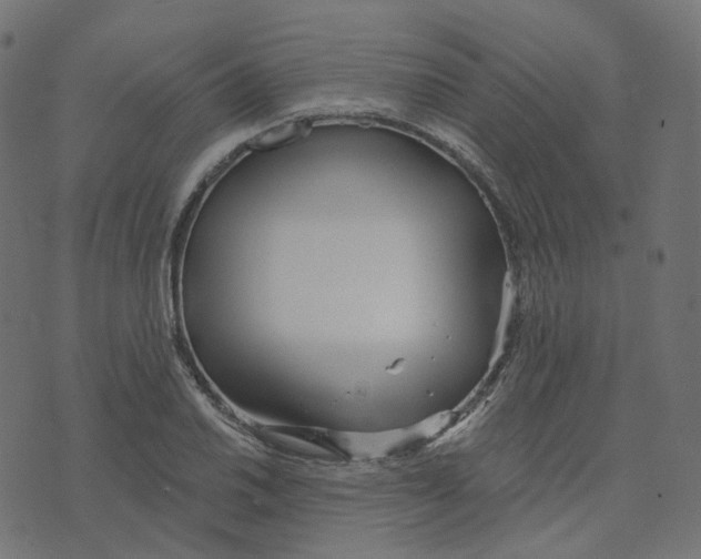 X0000073421030200608251545