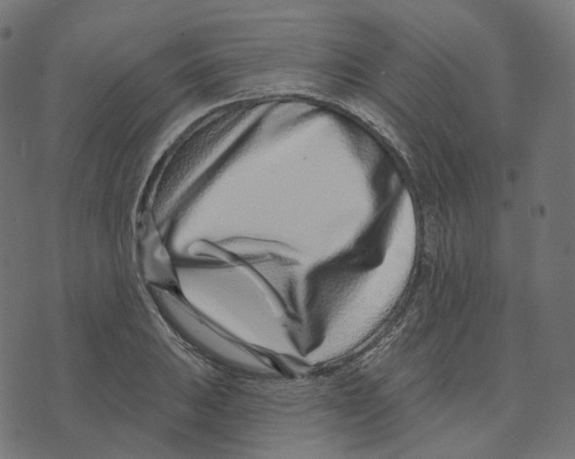 X0000073421031200608251545