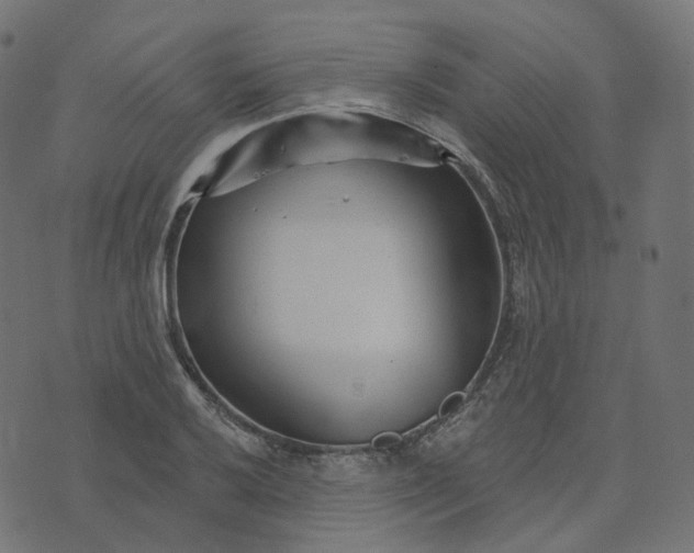 X0000073421032200608251545