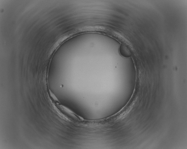 X0000073421033200608251545