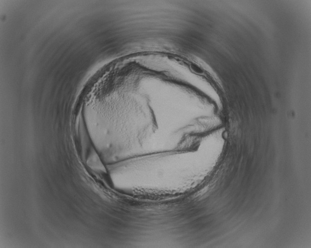 X0000073421035200608251545