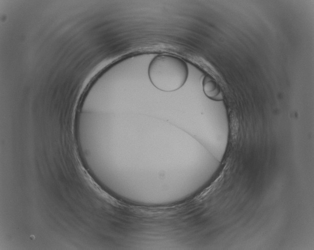 X0000073421036200608251545