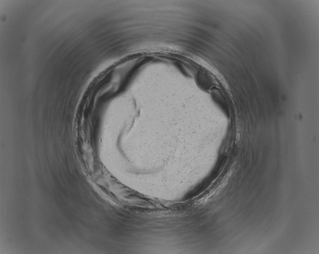 X0000073421037200608251545