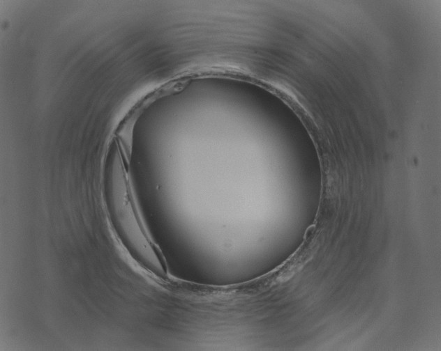 X0000073421038200608251545