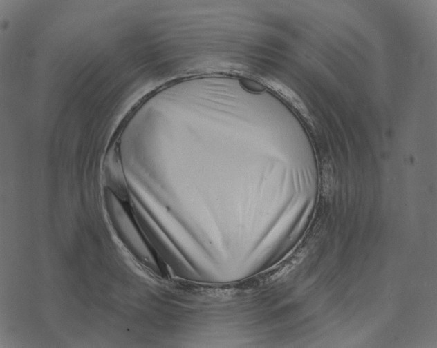 X0000073421039200608251545