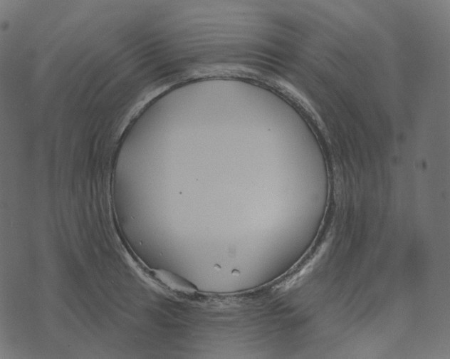 X0000073421041200608251545