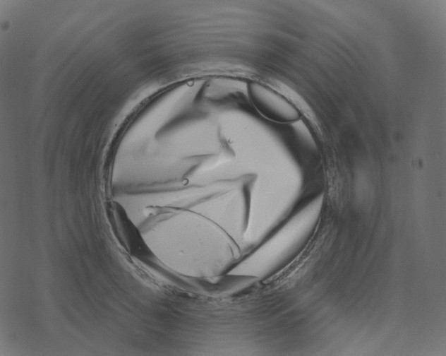 X0000073421043200608251545