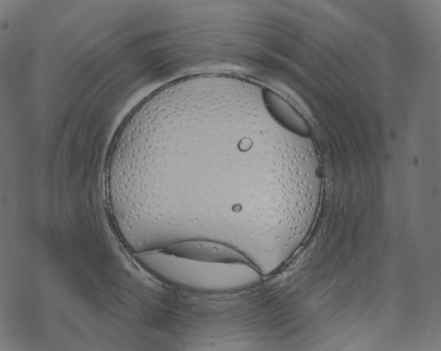 X0000073421044200608251545