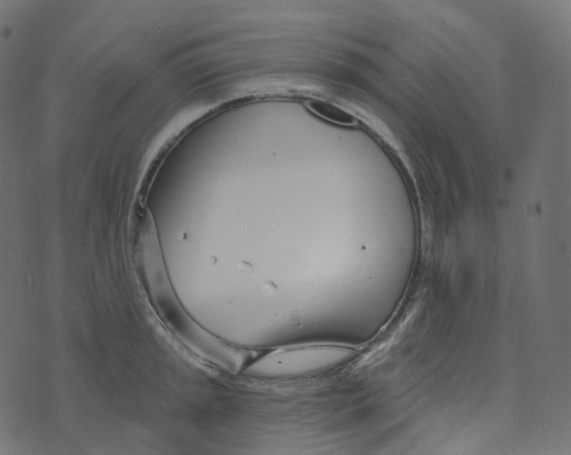 X0000073421045200608251545