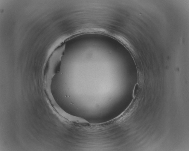 X0000073421046200608251545