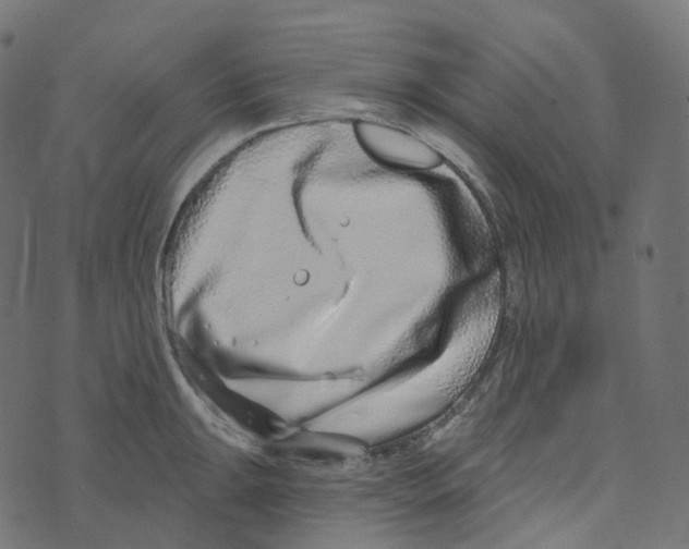 X0000073421047200608251545