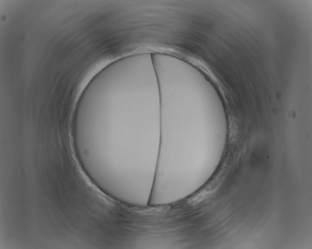 X0000073421048200608251545