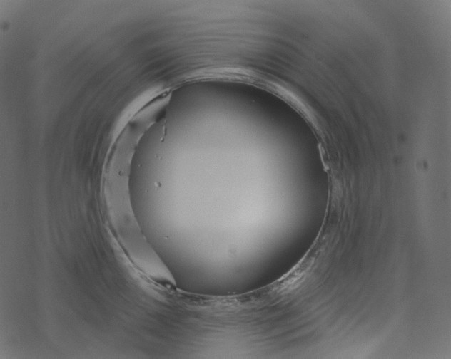 X0000073421050200608251545