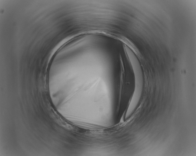 X0000073421052200608251545