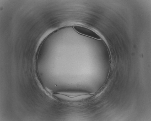 X0000073421053200608251545