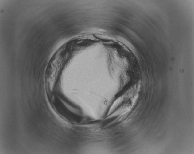 X0000073421055200608251545