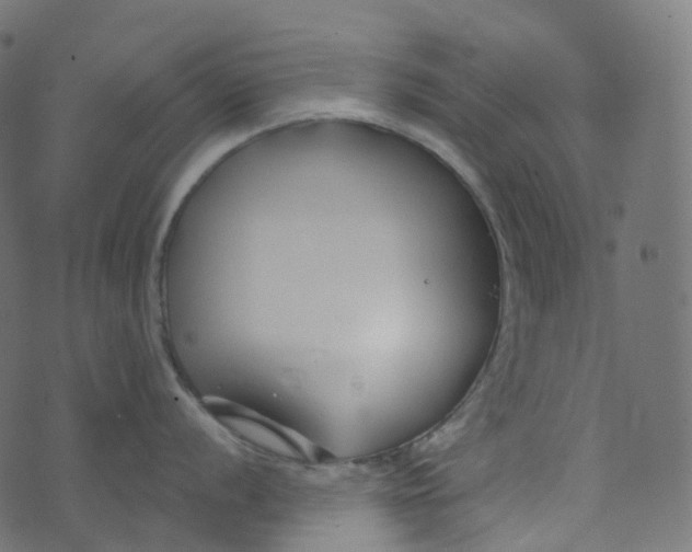 X0000073421056200608251545