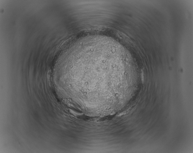 X0000073421059200608251544