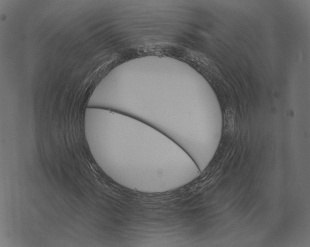 X0000073421060200608251544