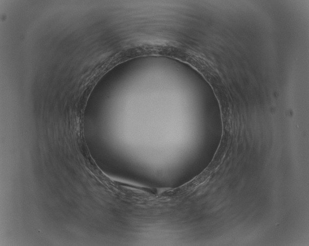 X0000073421061200608251544