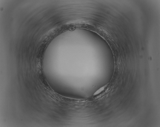 X0000073421062200608251544