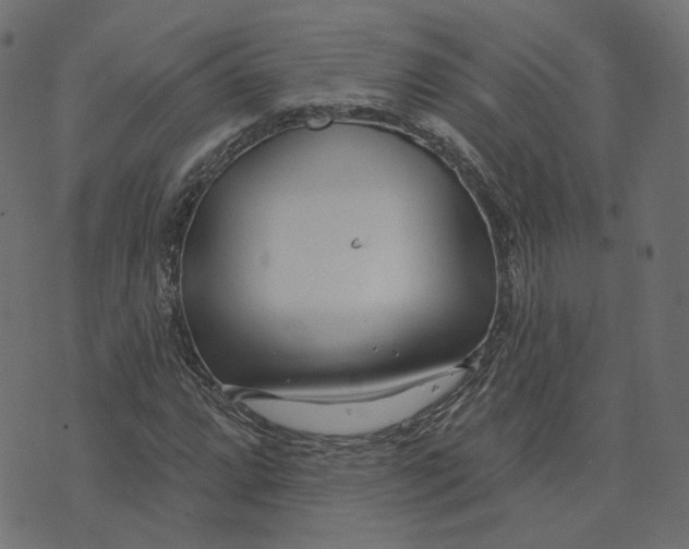 X0000073421064200608251544