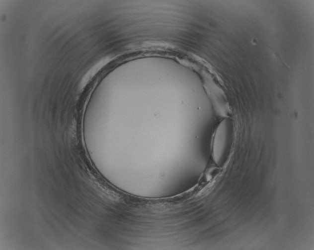 X0000073421066200608251544