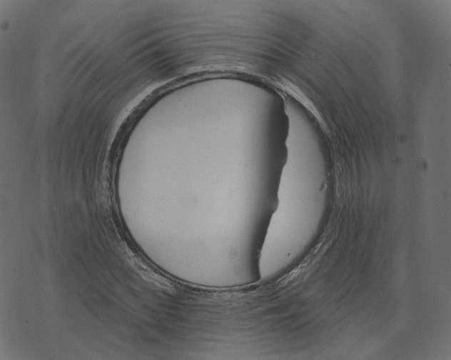 X0000073421068200608251544