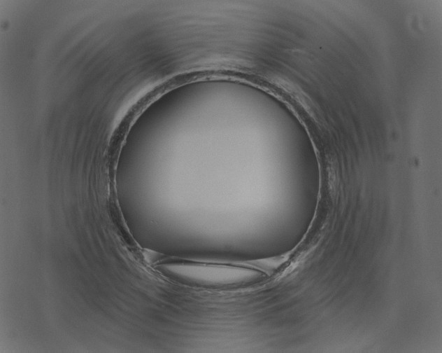 X0000073421069200608251544