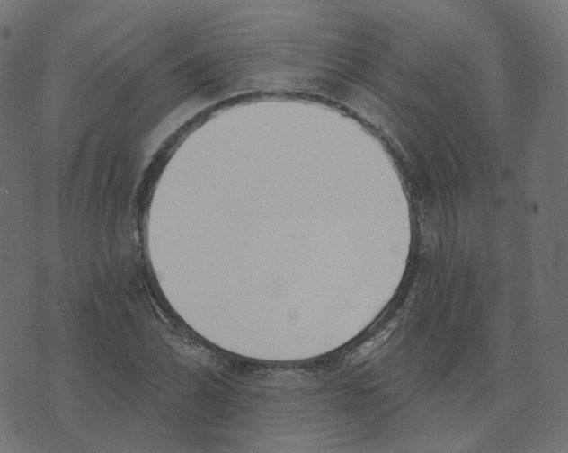 X0000073421070200608251544