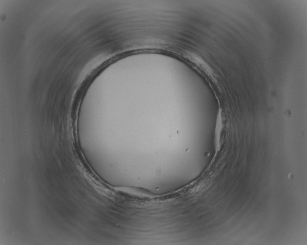 X0000073421072200608251544