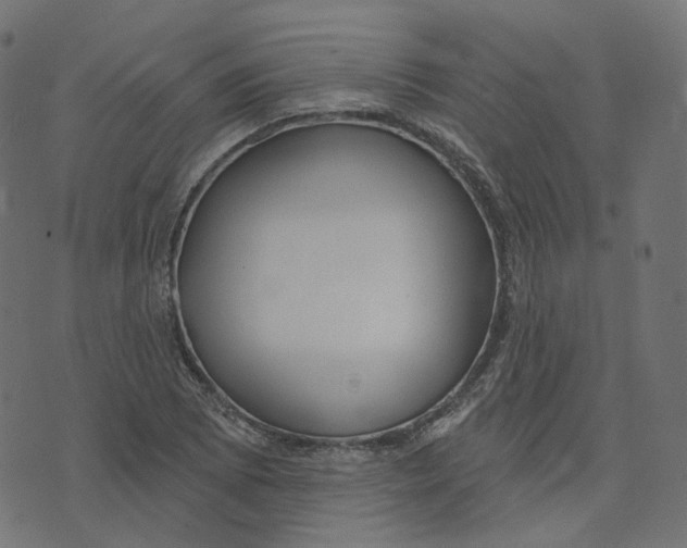 X0000073421073200608251544