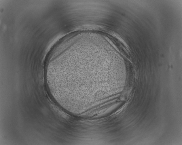 X0000073421075200608251544