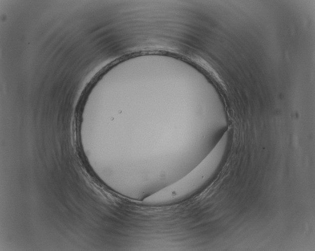 X0000073421076200608251544