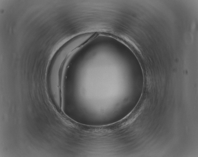 X0000073421077200608251544