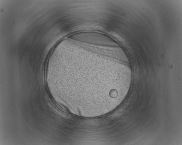 X0000073421078200608251544