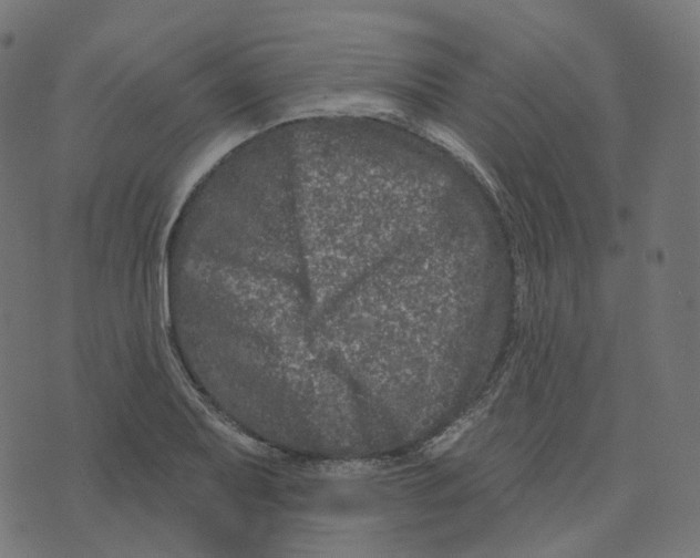 X0000073421079200608251544