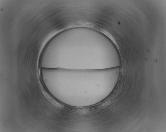 X0000073421080200608251544