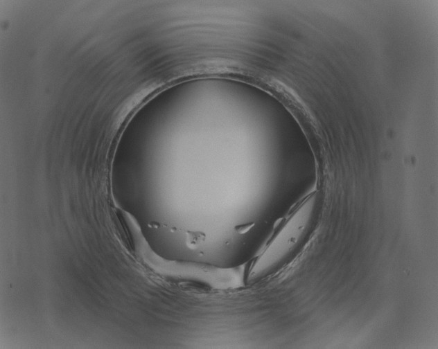 X0000073421081200608251544