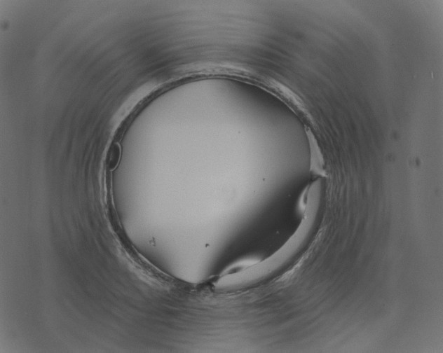 X0000073421082200608251544