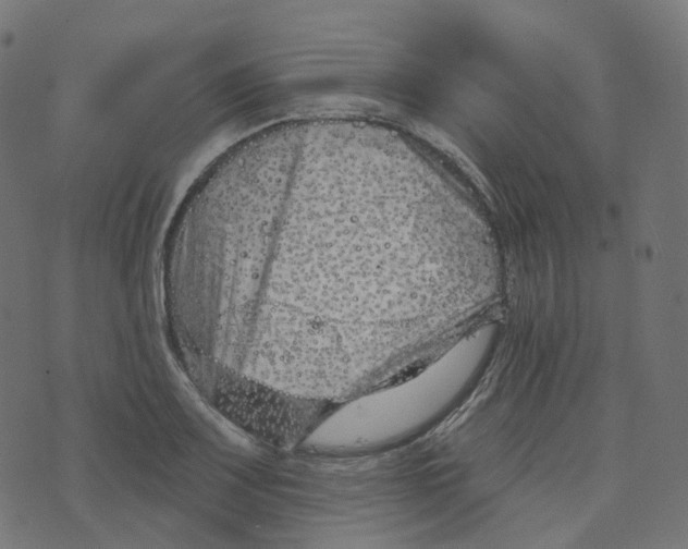 X0000073421083200608251544