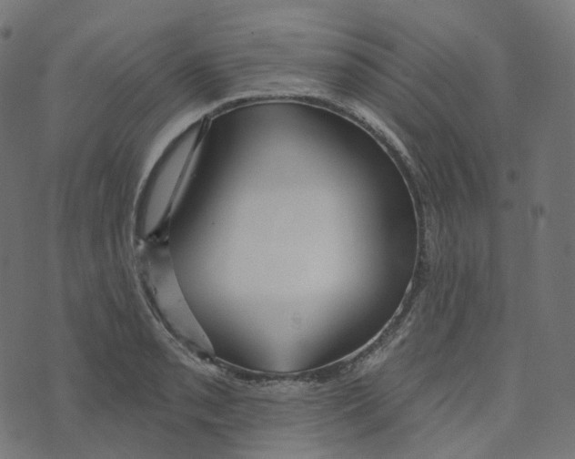 X0000073421085200608251544