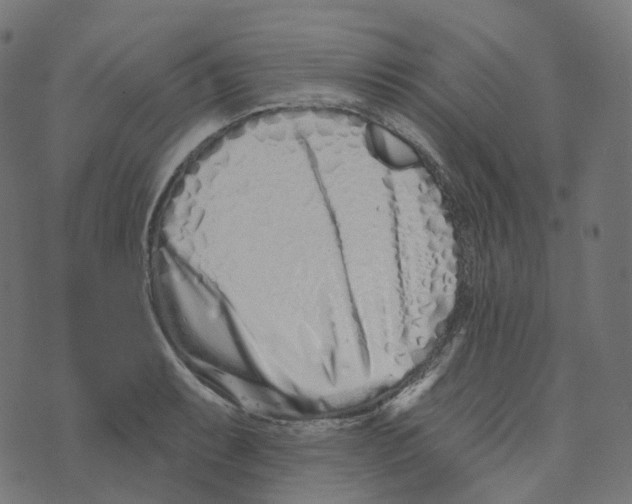 X0000073421087200608251544