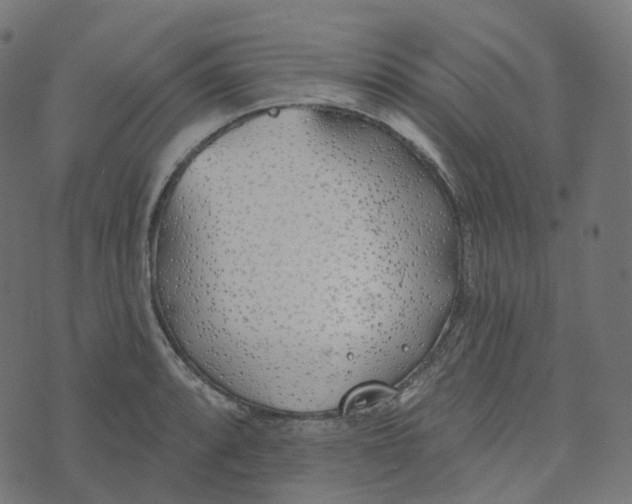 X0000073421088200608251544