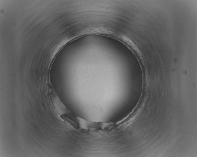 X0000073421089200608251544