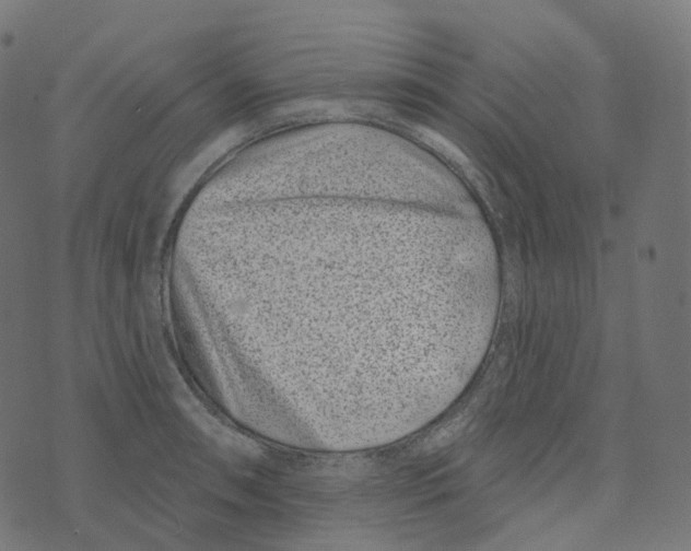 X0000073421090200608251544