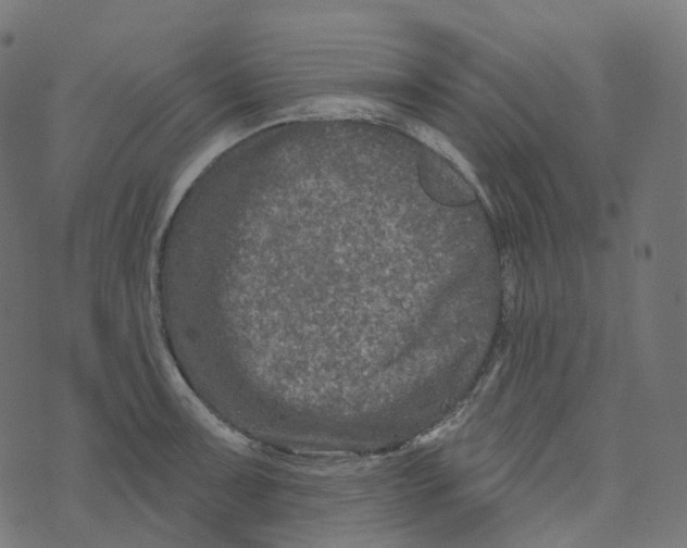 X0000073421091200608251544